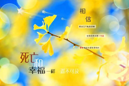 秦景风杨甜无弹窗 被催眠做舔狗三年后，我靠弹幕炸飞妻子和竹马秦景风杨甜全文免费阅读