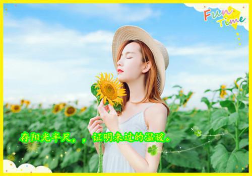 等风等雨等不到你全文小说夏语栀祁墨寒小说在线阅读