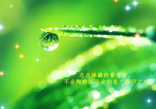宋曦月梁辰小说叫什么 宋曦月梁辰小说全文免费阅读