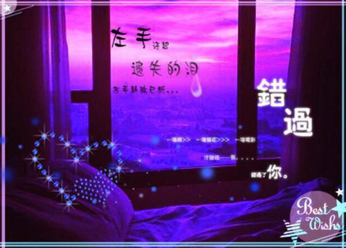 夏安沁谢贺朝免费全本小说 夏安沁谢贺朝章节目录