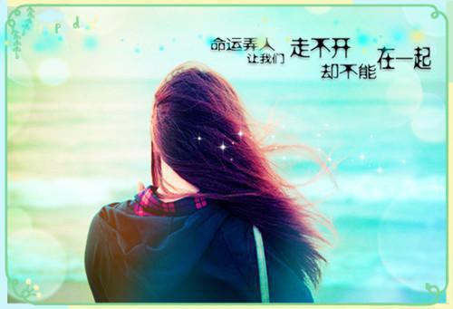 此去经年人未还精心编著（沈青禾霍沉洲周雪芙）最新章节_此去经年人未还精心编著全文阅读