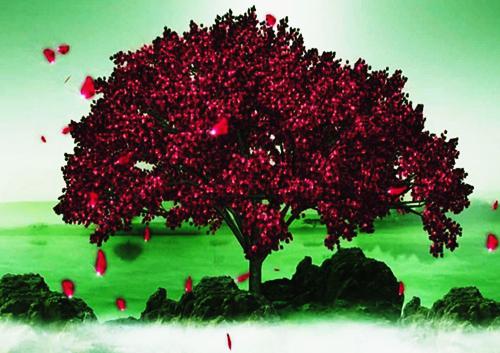 (抖音小说)向语沈析旸免费阅读第2章