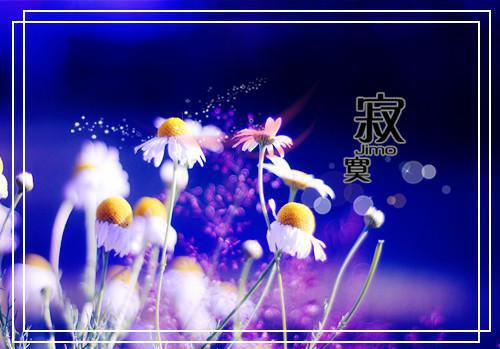 张平安林雪免费阅读 张平安林雪最新章节目录