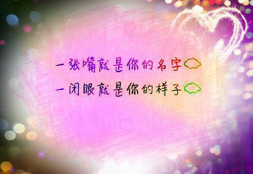 梦里灯火不渡我许砚寒小说(叶摘星许砚寒)（梦里灯火不渡我许砚寒）在线畅读阅读连载中