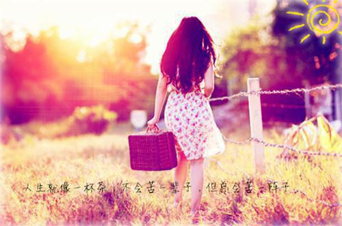 宋婉婉小说章节目录 宋婉婉免费阅读第一章