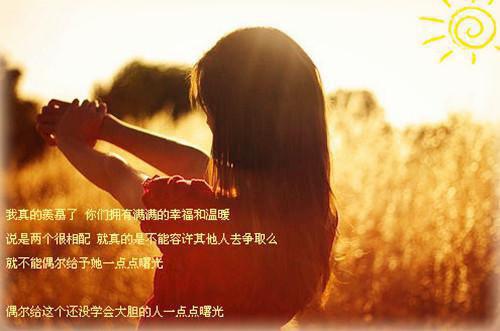 愿将过往秋收冬藏：最新章节列表_愿将过往秋收冬藏：全文免费阅读(孟棠音季怀瑾)