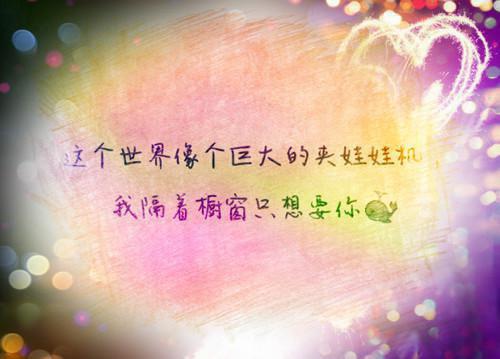 如果眼睛看得到沈明初张菲无广告小说免费在线阅读