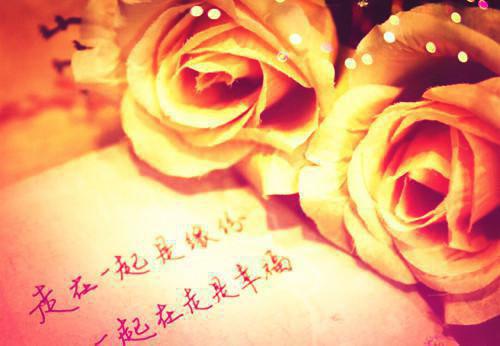 外婆离世我提出离婚，顾家千金坐不住了张念顾诗瑶小说(完整)免费阅读