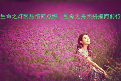 王建国沈妍妍小说 王建国沈妍妍免费章节阅读