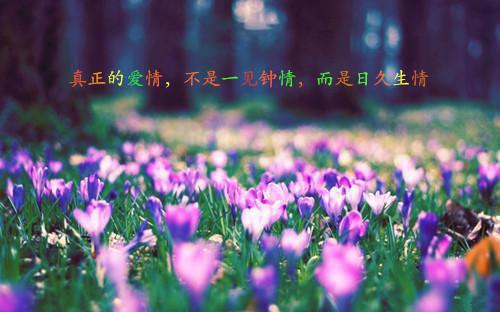 温黎沈照小说章节目录 温黎沈照免费阅读第2章