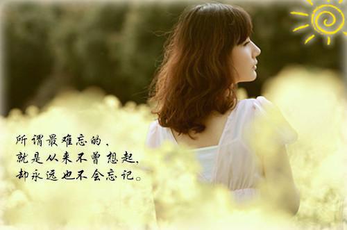 宋菁谢珩最后结局 宋菁谢珩完结版免费阅读