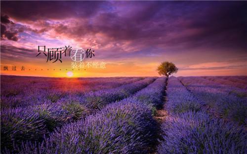 在地府欠债后，我找到了濒死的未婚夫(神秘人)小说最新章节