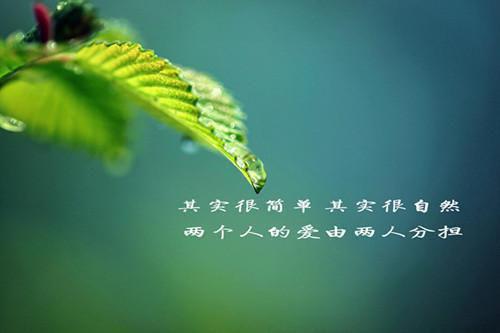 主角楚若涵洛云眉小说免费阅读最新章节