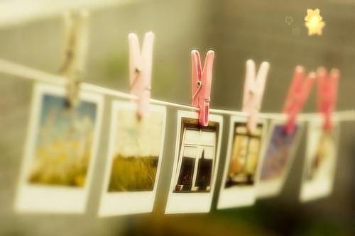 重生一次后,族谱为我单开一页小说 白皓白耀祖在线阅读