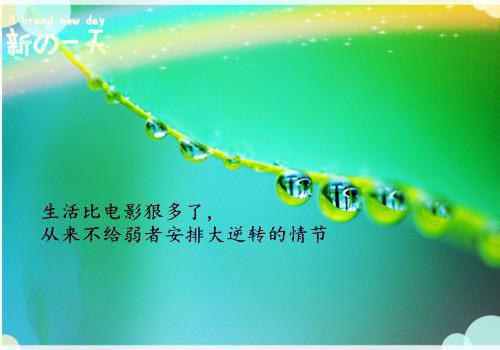 燕王换娶贵女后，悔疯了的小说免费最新更新 赵书仪沈昭昭白至晟小说在线阅读