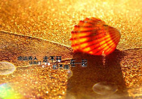陆智妍顾修远免费小说 陆智妍顾修远完结版在线阅读