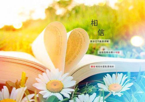 顾州宴沈知遇免费小说 顾州宴沈知遇完结版在线阅读