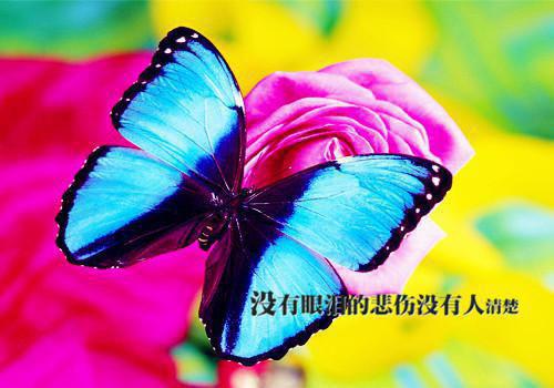 江子渔顾成小说免费试读 江子渔顾成第3章