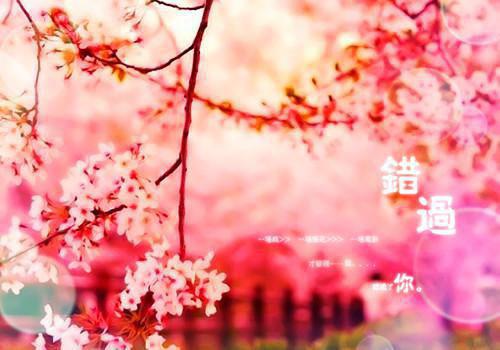 我助养子成影帝，假死闺蜜却悔疯了：结局+后续+完结最新章节 穆柯段欢苏茉穆宁在线阅读