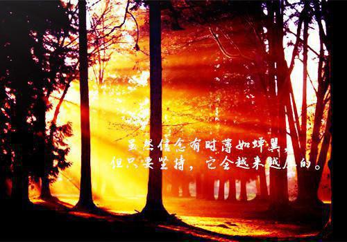 沈确温娩免费 你以为我爱你完整版小说