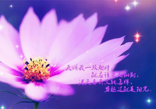 晴雨奔走首发小说 夏琳琅夏听婵在线阅读