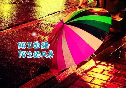 沈念心霍言小说名字免费 玫瑰死于盛夏免费阅读章节阅读