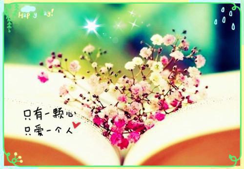 最新章节我在乱世基建成王（秦隽陆舟素）_我在乱世基建成王秦隽陆舟素最新章节