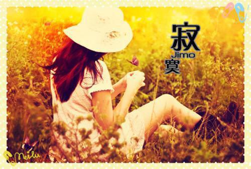 江月年年人不还：结局许愿沈默渊许愿沈默渊免费章节在线阅读