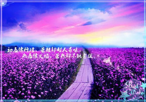 温璃月燕珩(完整版)全文免费阅读温璃月燕珩小说