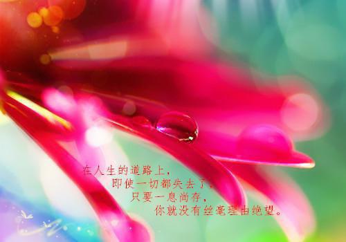 双竹马抽签打赌，为假千金逼我放弃高考首发小说 赵世衡季时鸢傅沉霖在线阅读