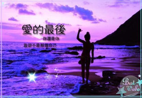 主角夏诗芜裴凛琛小说 夏诗芜裴凛琛小说全文免费阅读