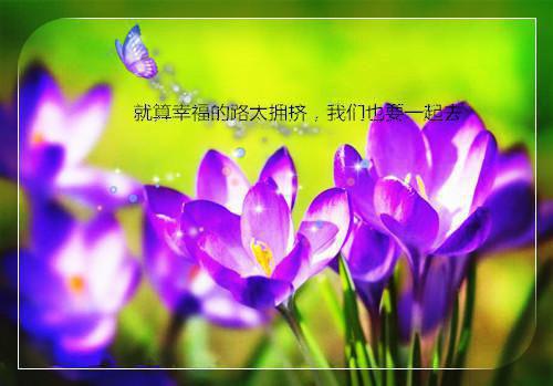 重来一世先下手狂追将来顶流的他许今禾纪棠完结小说全文在线阅读