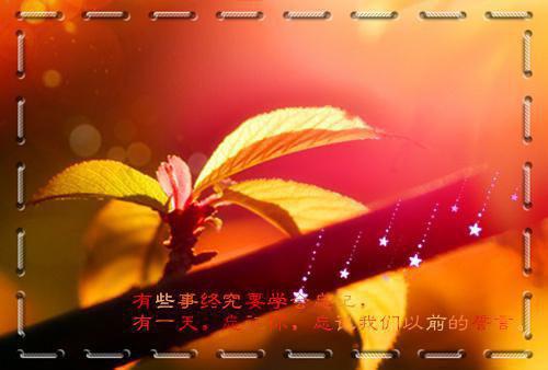 全网独家（此去经年人未还沈青禾霍沉洲：+后续+结局）霍沉洲沈青禾完整章节已完结阅读_此去经年人未还沈青禾霍沉洲：+后续+结局最新章节列表_笔趣阁（霍沉洲沈青禾）
