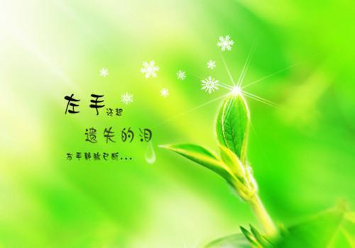 陆思妍林彤全文阅读 陆思妍林彤小说最新章节