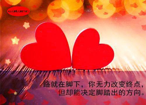 沈清沈凌免费章节最新 攻略成功返回原世界后，我却后悔了：后续：番外+全文by佚名