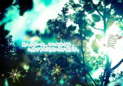 祁颂宋辰星宋惜月免费完结版 离婚后，疯批老公跪求我回头祁颂宋辰星宋惜月小说阅读