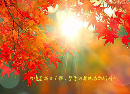 全本重生换嫁小叔后，未婚夫后悔万分：+后续+结局（顾斯年江彦婷肆月）全文免费阅读无弹窗大结局_重生换嫁小叔后，未婚夫后悔万分：+后续+结局免费阅读全文大结局