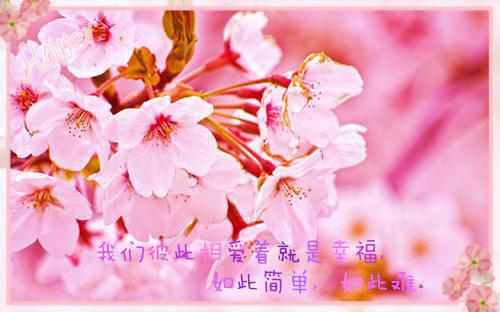 经年离歌愁未休顾允廷宋卿落：+结局+番外（顾允廷宋卿落）全文免费阅读无弹窗大结局_(经年离歌愁未休顾允廷宋卿落：+结局+番外)最新章节列表_笔趣阁（顾允廷宋卿落）