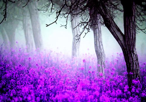 江晚词墨时骁嫁给京圈首富后，全家跪着求原谅续集(江晚词墨时骁)章节前文+全书阅读（嫁给京圈首富后，全家跪着求原谅）最新连载