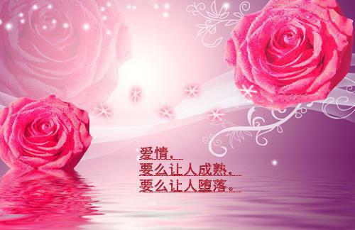 恶女嫁反派，男主你哭什么？虞卿黛盛婉儿全文阅读_恶女嫁反派，男主你哭什么？虞卿黛盛婉儿全文免费阅读