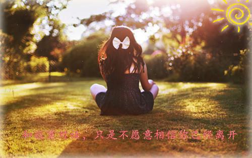 宴葵白嘉清全文免费阅读最新 宴葵白嘉清第6章