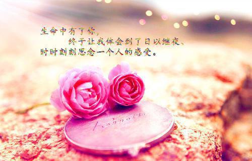 老公点天灯买资助生初夜后，他悔疯了免费阅读宋知宁顾攸之秦慎小说