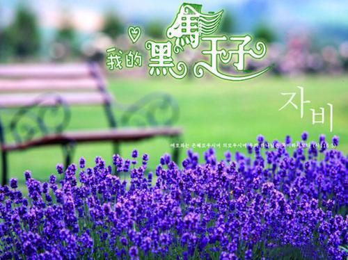 苏茜江临什么小说 苏茜江临全文免费阅读