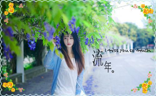 全文浏览此去经年人未还极佳剧情（沈青禾霍沉洲贺临渊）_此去经年人未还极佳剧情（沈青禾霍沉洲贺临渊）全文结局