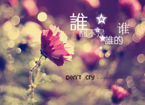 许昭意陆沉屿是什么小说的主人公 许昭意陆沉屿免费阅读