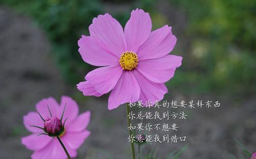 她捡错信件要离婚，冷面硬汉急红眼（顾景尧林默然）小说全文免费读无弹窗大结局_她捡错信件要离婚，冷面硬汉急红眼小说全文免费阅读