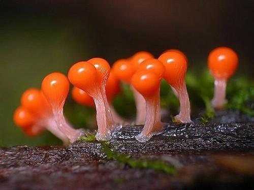 最新章节嫁给无根老公后，我舔了十年的佛子总裁急红了眼：版（沈南乔傅思年沈若兰）_嫁给无根老公后，我舔了十年的佛子总裁急红了眼：版沈南乔傅思年沈若兰最新章节