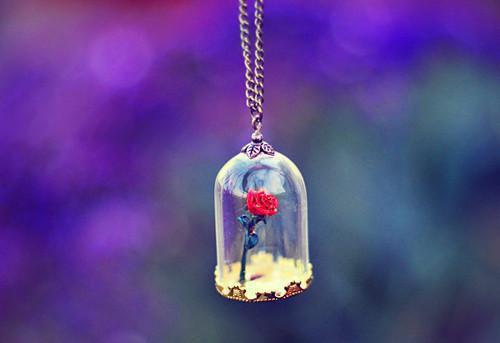 费原路柯桐小说名字 费原路柯桐全文免费阅读