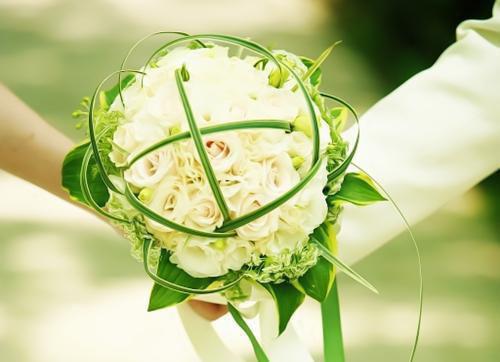 周凡李雪最新章节更新小说《战灵灭世》免费阅读