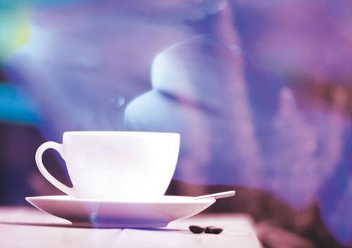 人面桃花长相忆看点十足（阮雾梨闻砚辞）已完结，人面桃花长相忆看点十足已完结